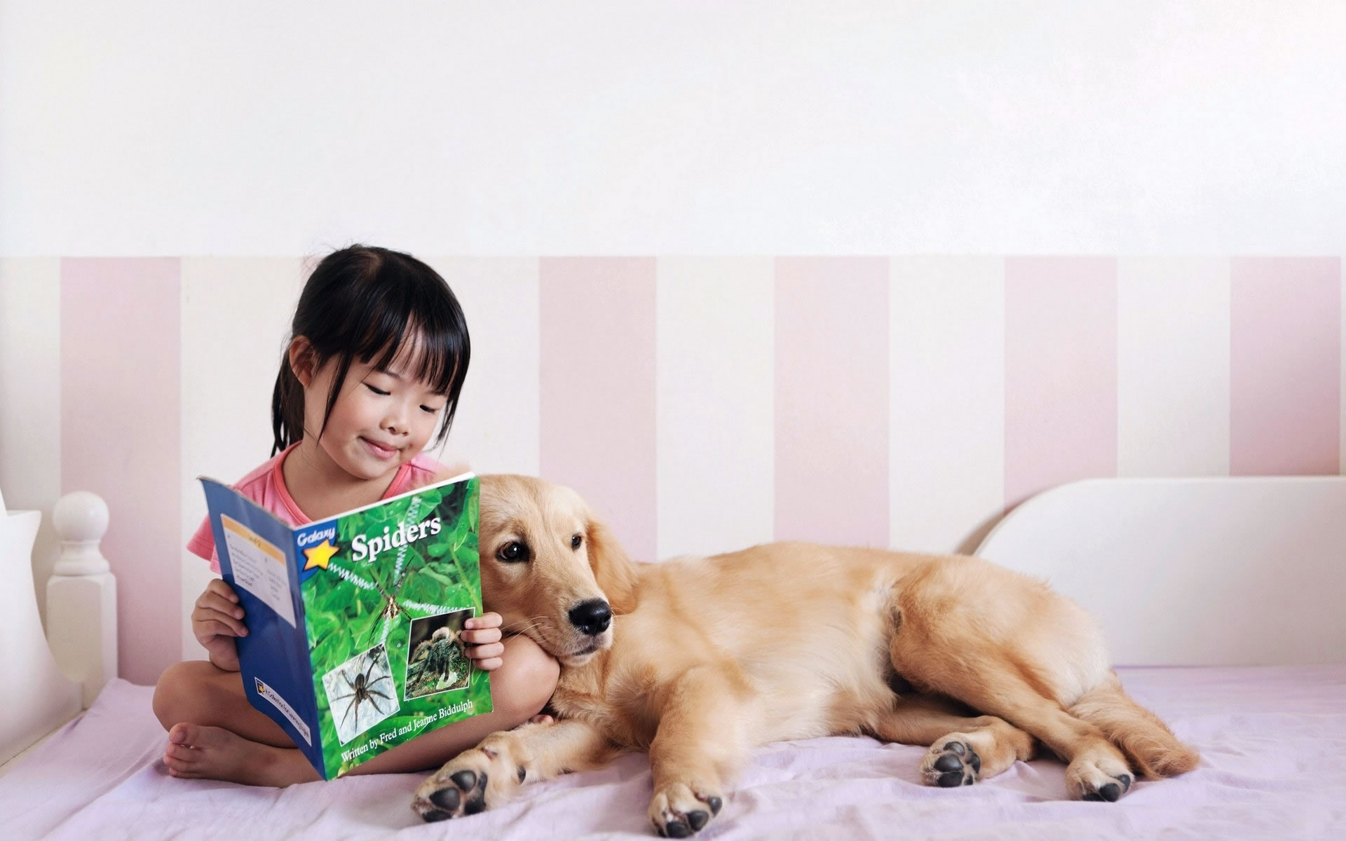 狗狗呕吐怎么办铲屎官看过来,养宠知识狗狗呕吐了怎么办