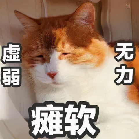 甲减病人减肥最有效的方法,得了甲减不容易减肥吗