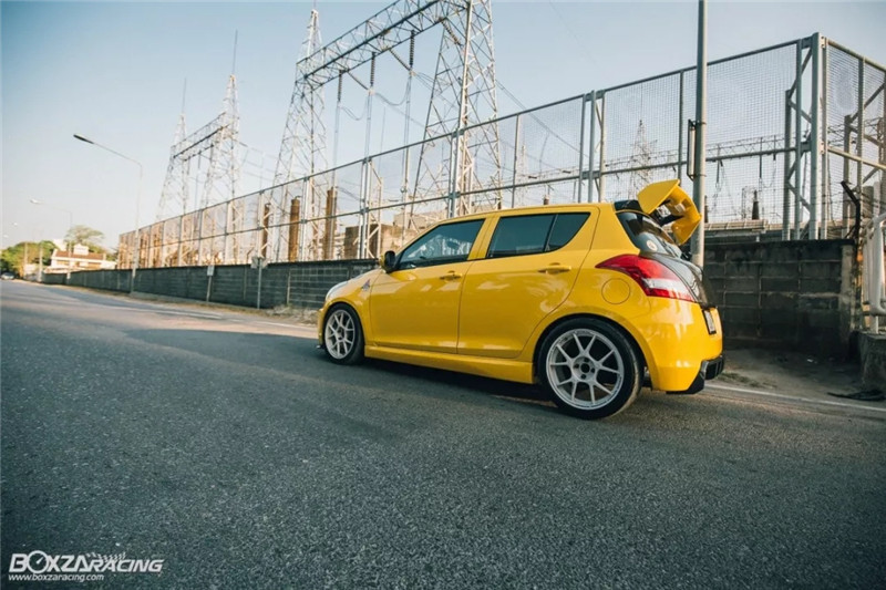 铃木雨燕小乳鸽,雨燕乳鸽