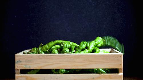 湖南有哪些比较出名的湘菜连锁店,湖南正宗的湘菜在哪个城市