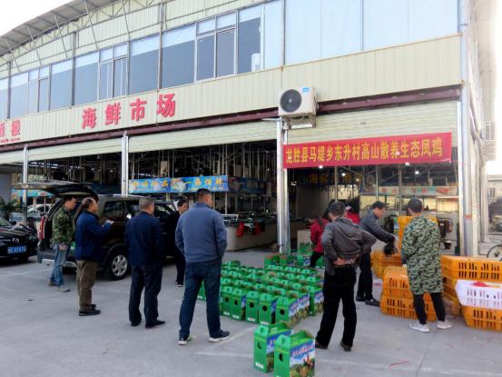 龙胜凤鸡竟“飞”入海鲜市场,“高规格”背后大有文章