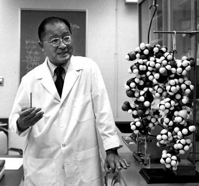 增肌科技搭配,生长激素搭配什么用增肌