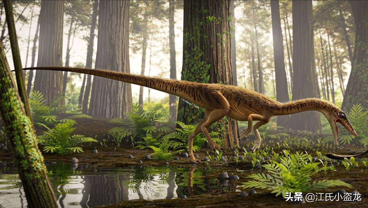 古生物时代有多少种恐龙,人类已经发现了多少恐龙种类