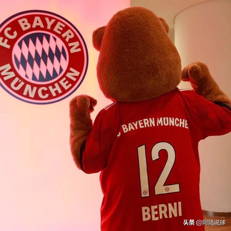 2009奥迪杯穆勒,奥迪杯是什么水平