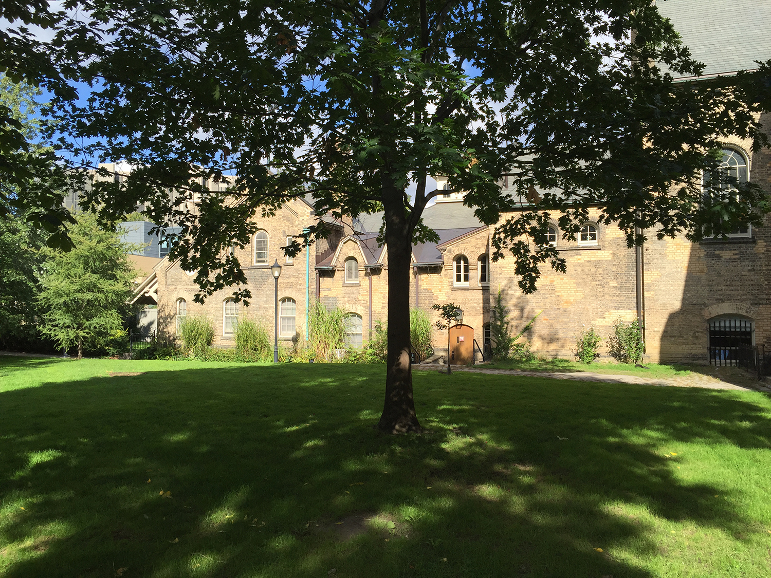 加拿大留学被遣返回国,2000多华人留学生加拿大被遣返