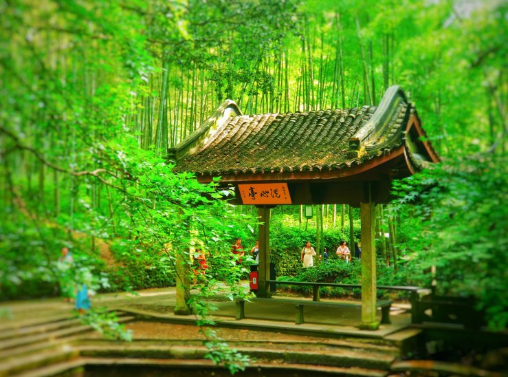 杭州西湖水下有秘境,杭州西湖美景胜似人间仙景