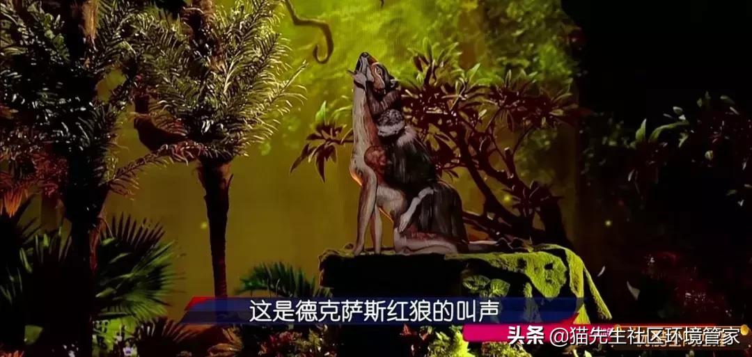 疯狂的裸体彩绘|这世间事十有八九都与垃圾分类有关