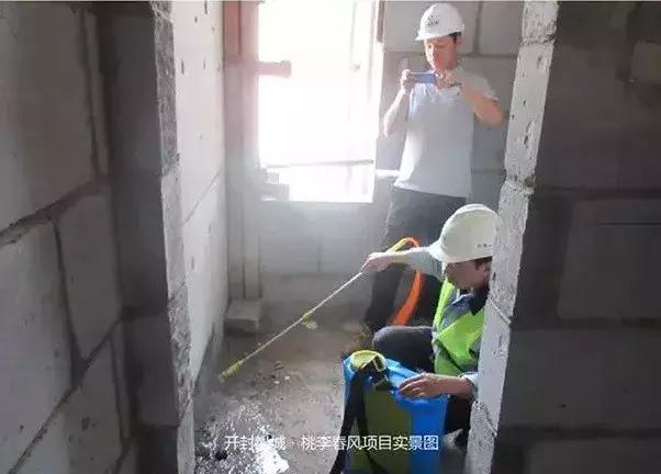 没忍住,还是再次来看了桃李春风