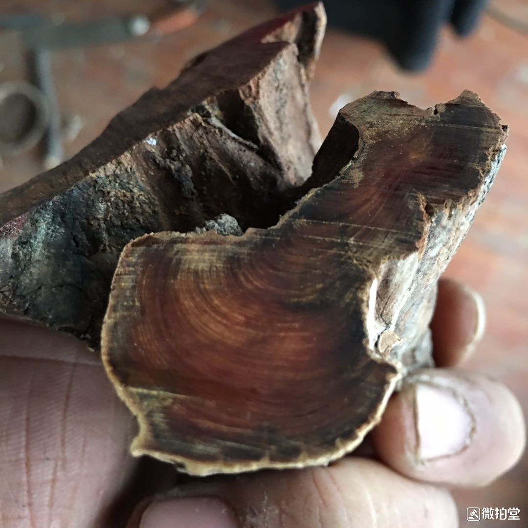 崖柏檀香沉香区别,沉香好还是崖柏好