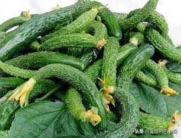 德国泡菜各种吃法,外国人吃酸黄瓜中文版