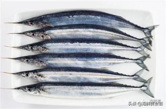 好吃不贵的海鲜种类有哪些,最好吃又最常见海鲜有几种