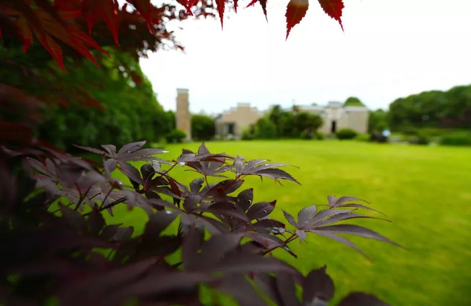 一晚80000，历时10年，耗资33亿的上海安缦，...