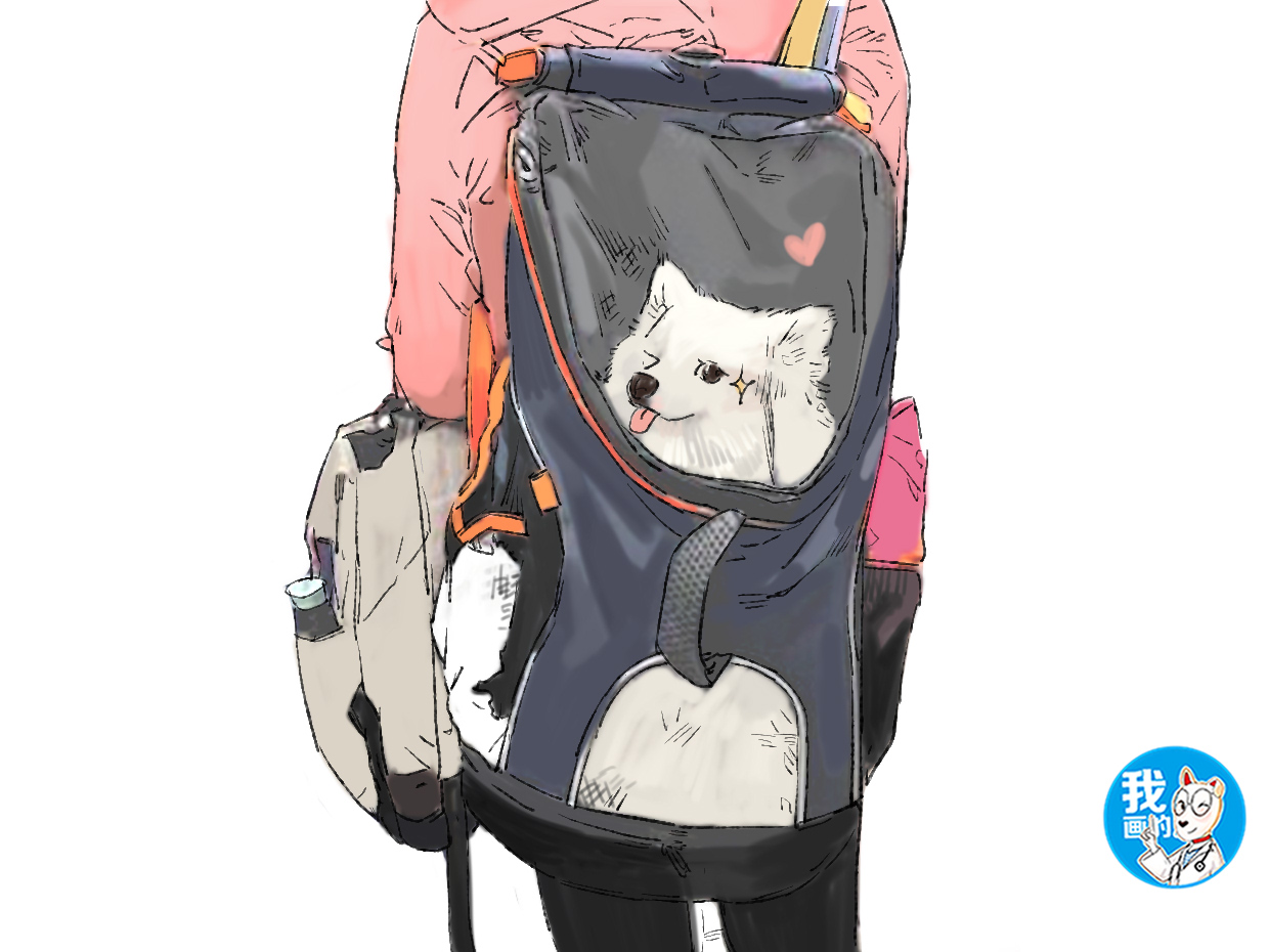 地铁上看见一个女孩子,地铁上发现小宠物