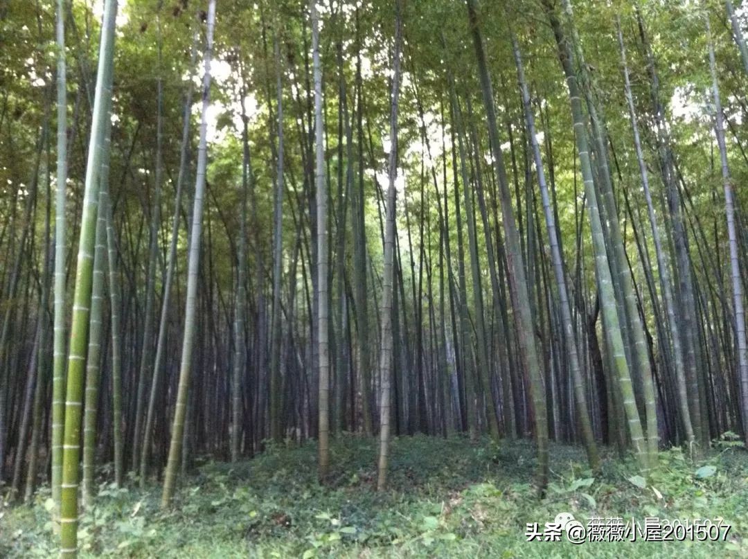 无锡太湖胜景,太湖胜景