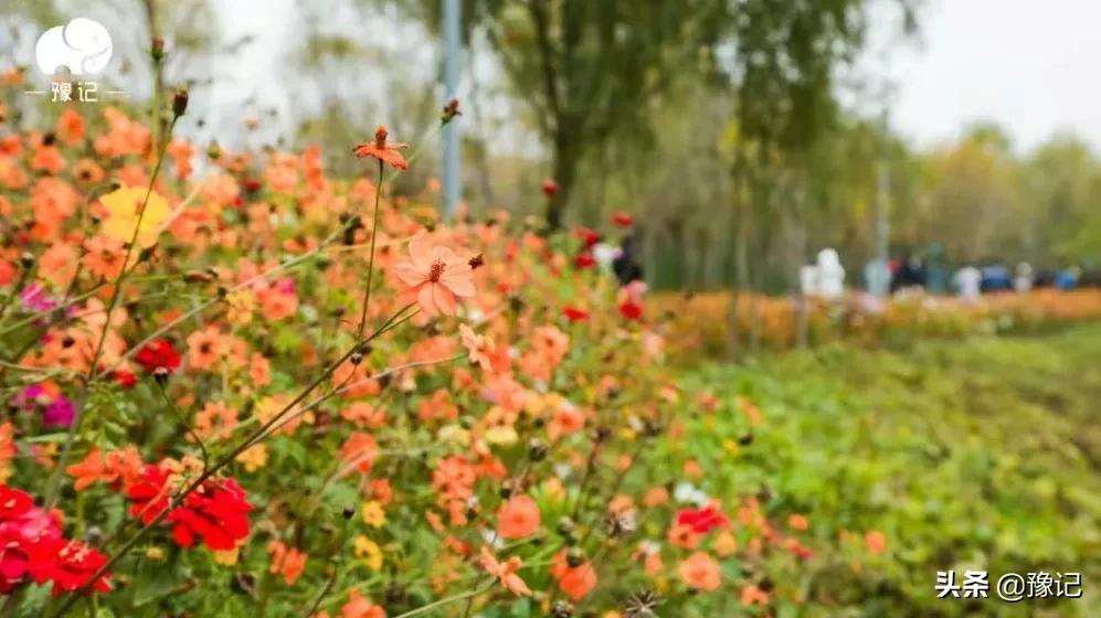 走在希望的田野上,走在希望的校园里