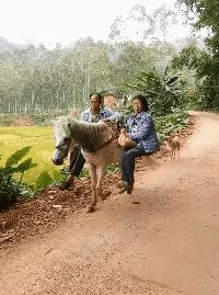 爆笑gif动图我们一起出去霸气一点,最新搞笑动图gif图