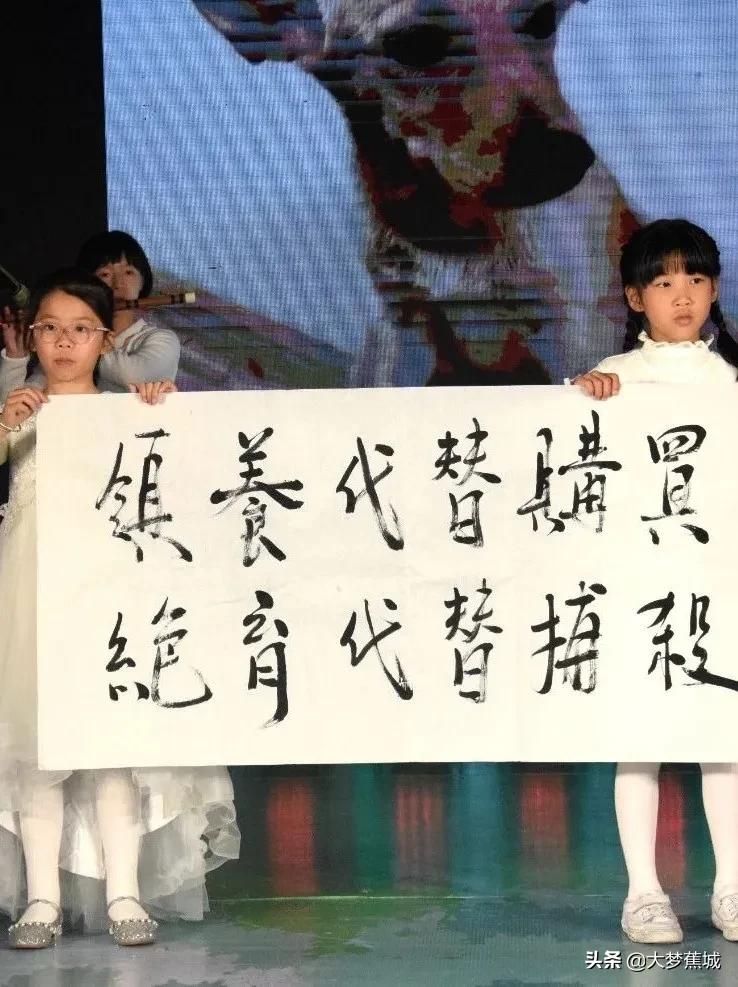 关爱流浪动物，让领养代替购买~