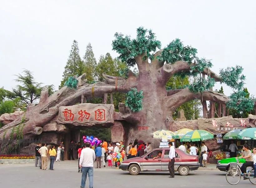 儿童节去儿童乐园,儿童节去公园玩