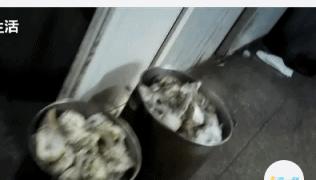 网红日料店推荐,网红日料店最火爆