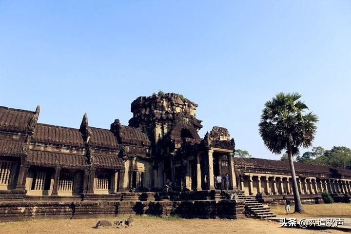 富士通杯系列（133）第九届富士通杯风云再起大元首战野草告捷