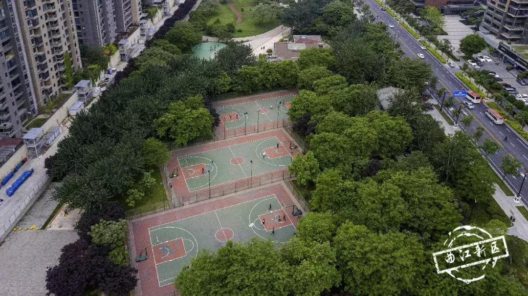 唐城墙遗址公园绿化带,唐城墙遗址公园哪个区值得去