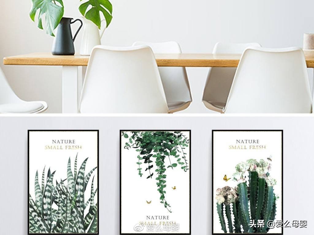 不容易怀孕的人适合养什么花,怀孕后家里适合养什么花