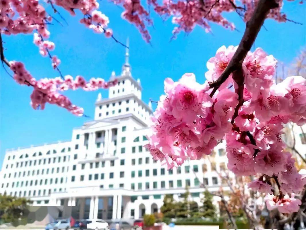 哈尔滨各高校特点搞笑版,搞笑大学学校名称