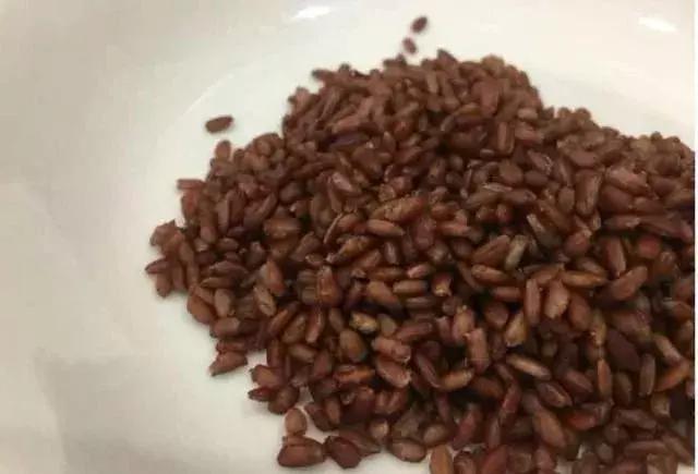 袁隆平培育的海水稻亩产多少斤,袁隆平十万亩海水稻硕果累累