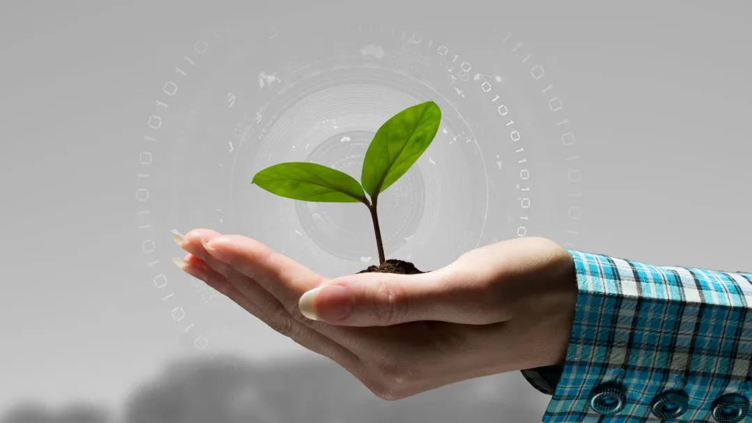 人肉搜索受害者如何维权,人肉搜索法律解决方案