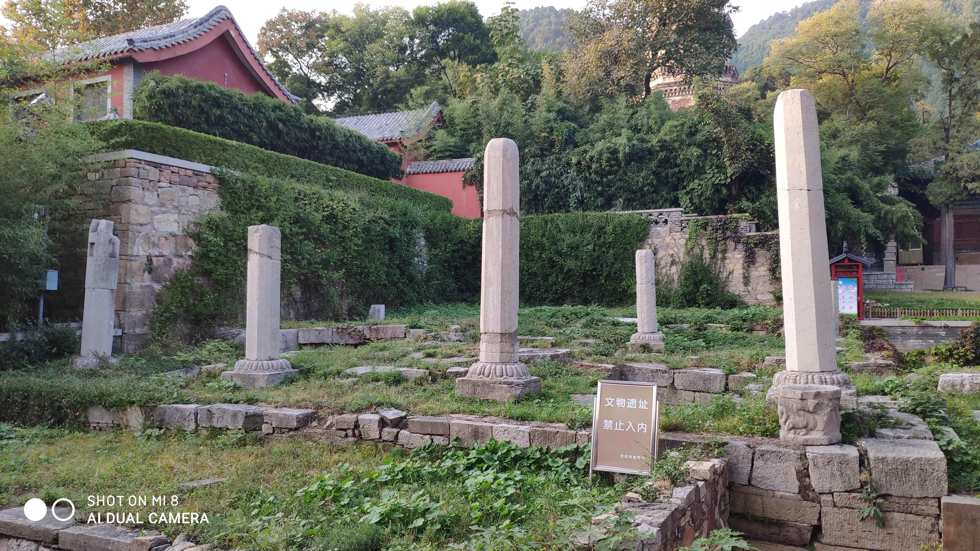 去济南灵岩寺什么必看,济南灵岩寺神树