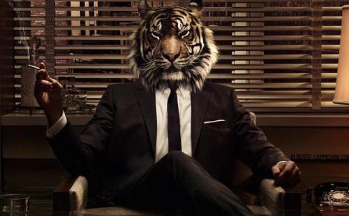 工作老是被领导骂怎么办,职场被领导骂如何对待领导