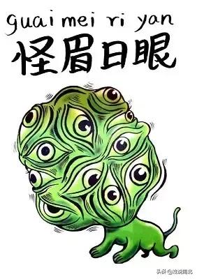 雄起四川话完整视频,四川雄起方言版