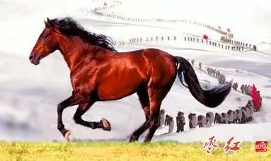 弼马温养马的官,弼马温在哪里看管天马