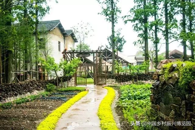 乡村振兴案例2021,乡村振兴案例2022