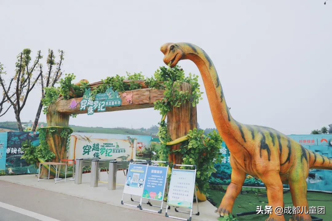 双流空港体育公园看飞机攻略,周末去空港花田