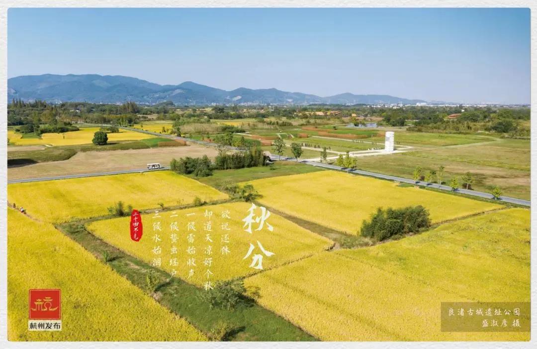 秋分来了，今天有个重要的节日！杭州何时入秋？警惕“秋老虎”