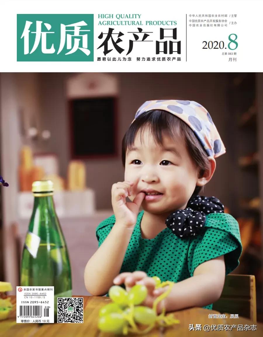 什么种类的黄桃最好吃又甜,鲜食黄桃品种哪个最好吃