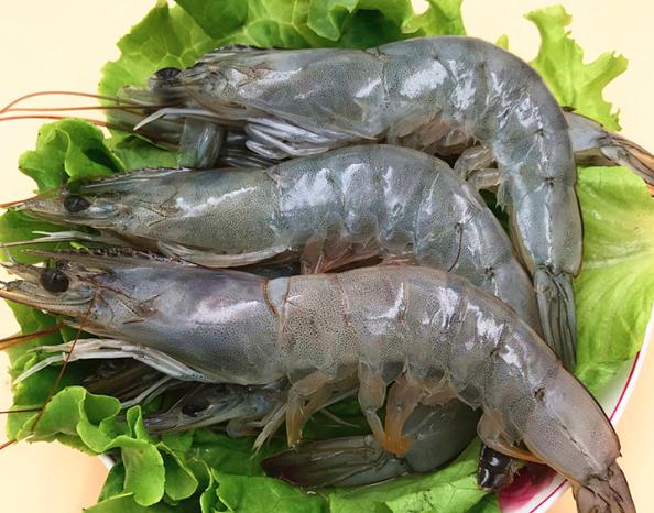 去超市买虾哪种最好,去超市买虾注意什么细节