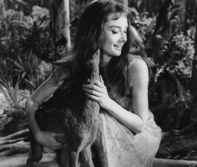 赫本是众多男人心中的女神,赫本坎坷情路