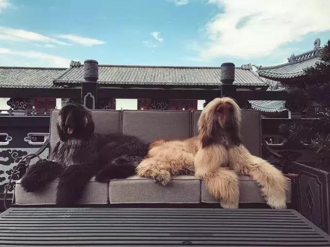 大理古城最出名的十大酒吧,了解一下云南大理古城最嗨酒吧