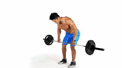 健身一周只能练两天怎么计划,一周健身计划加自由搏击如何安排