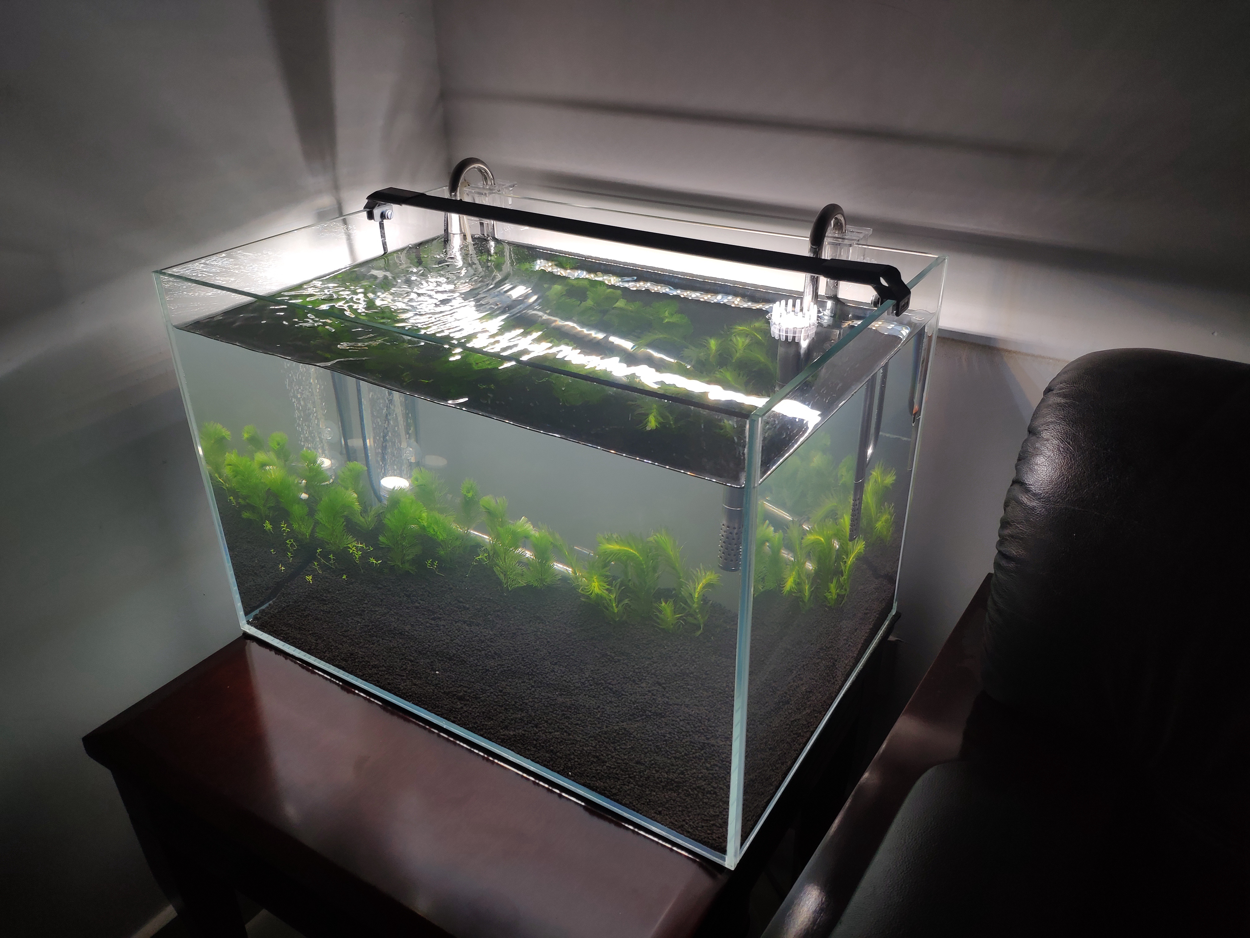 新手养鱼买什么鱼缸好,新手养鱼买什么鱼缸比较好