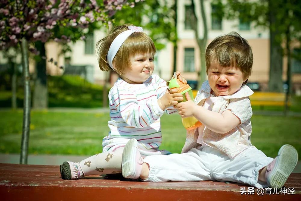 孩子打人抢东西是怎么回事,孩子抢东西不给就哭