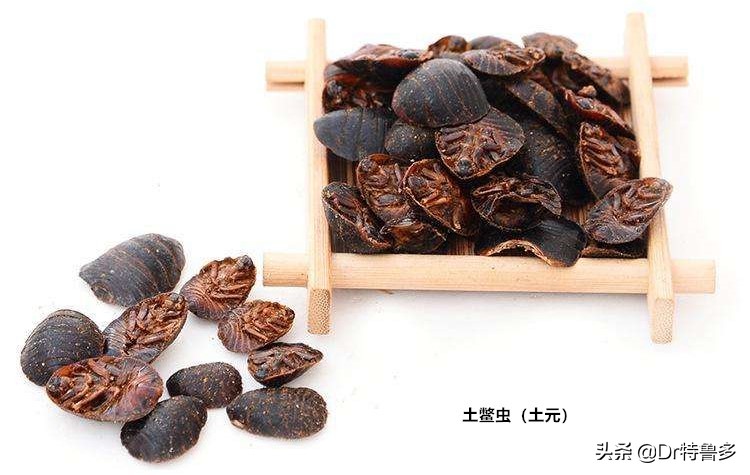 骨折中医和西医的意见不一样,骨折愈合中医西医一个不能少