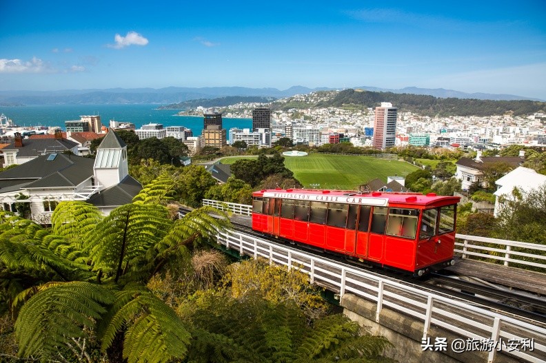 新西兰购物游,新西兰购物特产必买清单