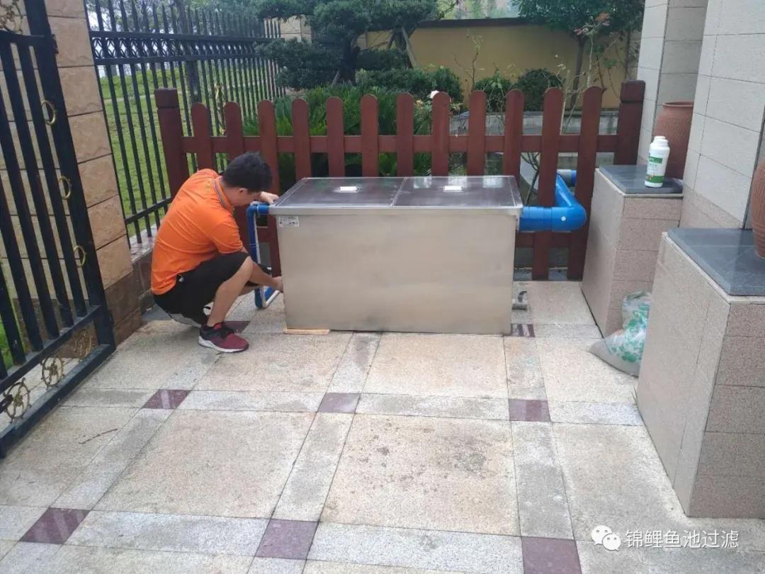 养锦鲤必备的一款鱼池过滤器,锦鲤鱼池过滤器自制方法