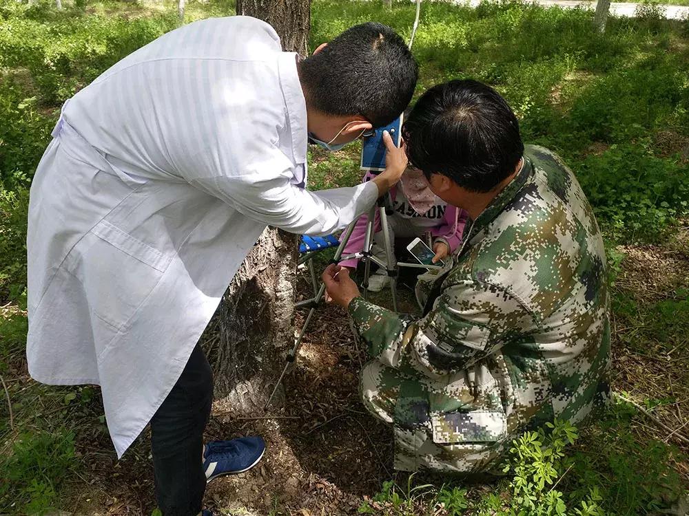 红颈天牛生活习性及防治方法,天牛的习性和天敌