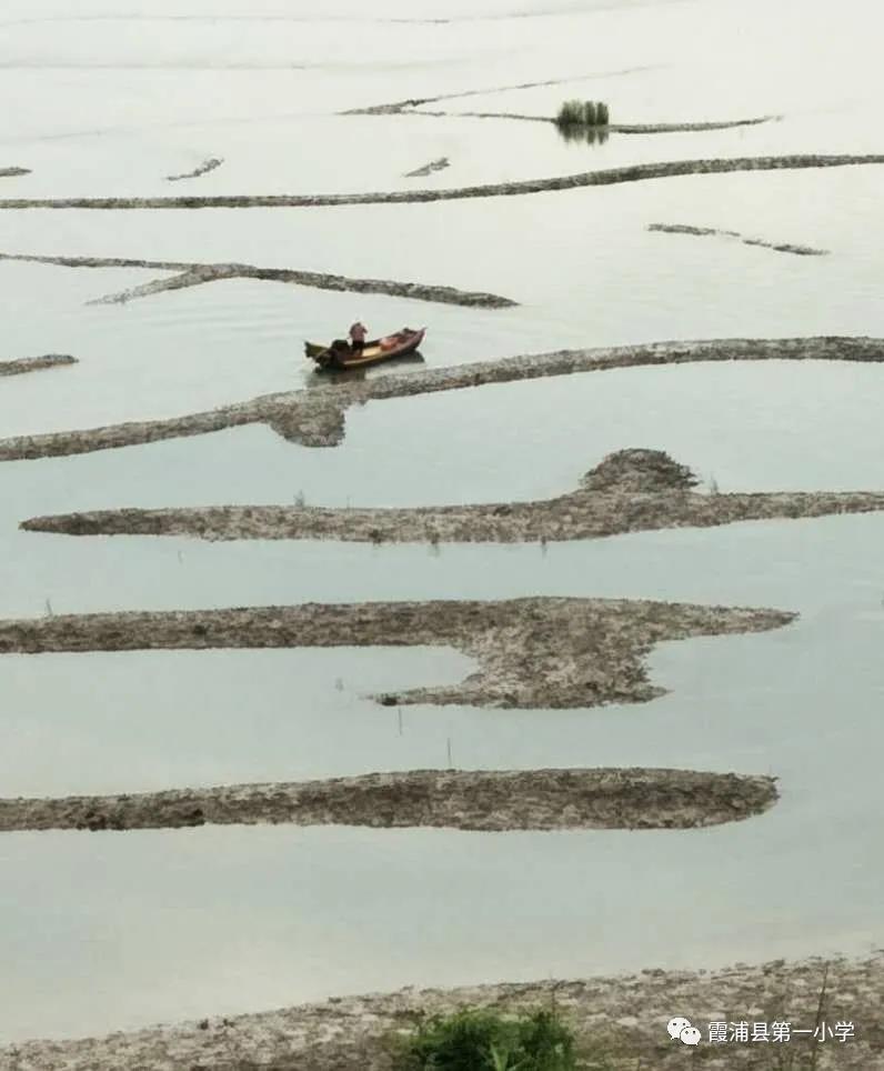 霞浦一中高一新生夏令营,霞浦县夏令营