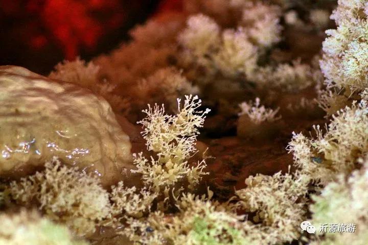 石花洞景区图片欣赏高清,探索石花洞穴